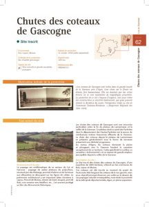 thumbnail of chute-coteaux-gascogne