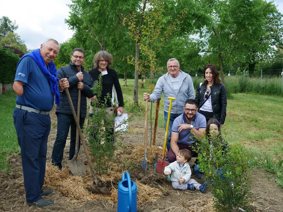 Plantation d’un arbre à la naissance de chaque enfant